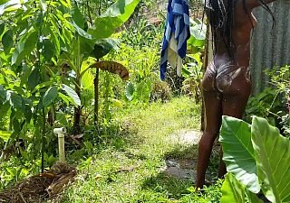 Black Beauty Full knowledge Rinse close to Public & Showering Outdoors close to Paradise